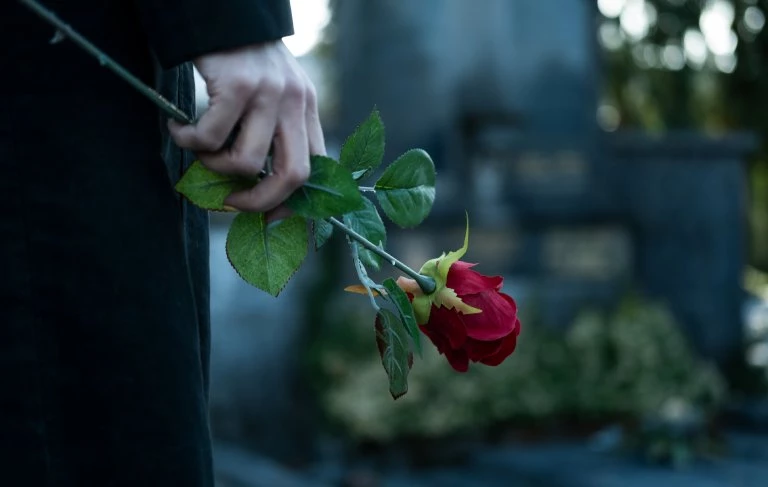 Osoba trzyma różę w dłoni