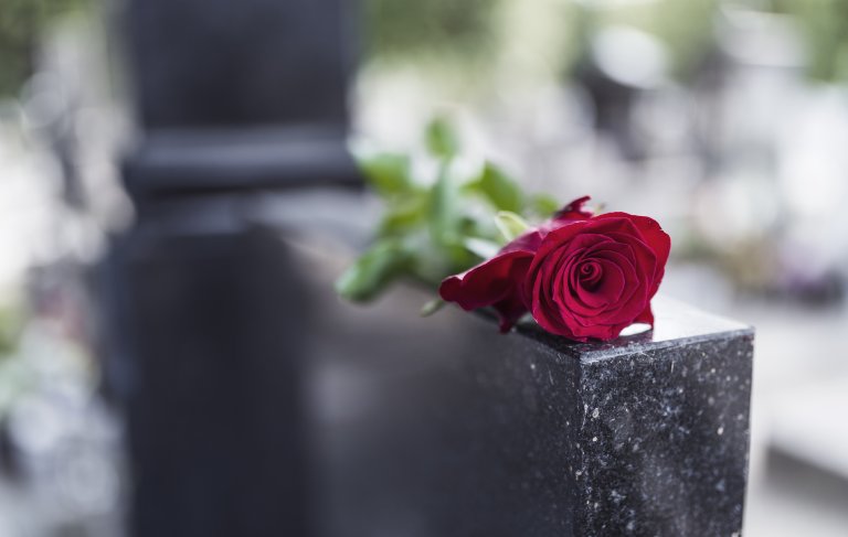 Czerwona róża na pomniku