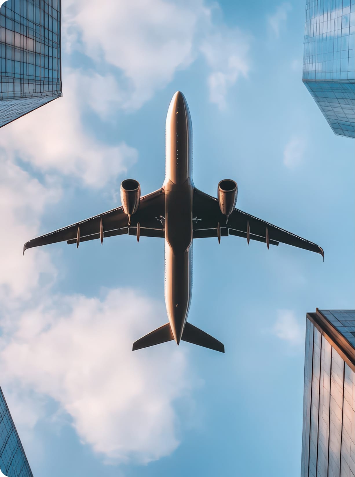 Międzynarodowy transport zwłok