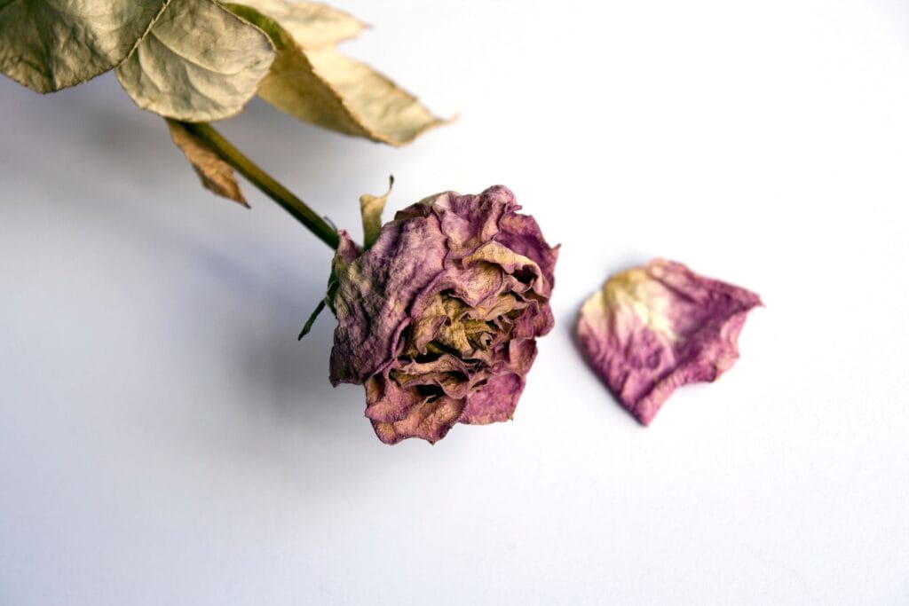 Co dzieje się z ciałem człowieka od momentu zgonu do pogrzebu?