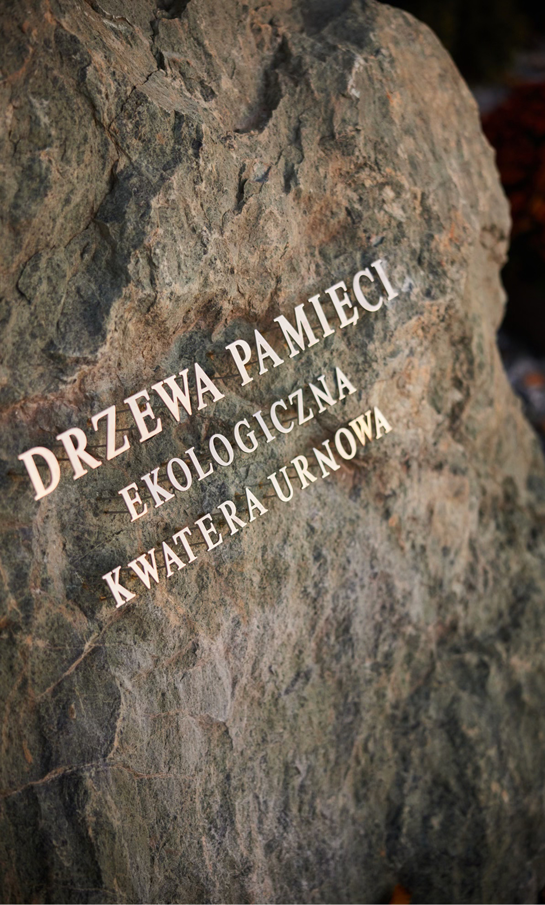 Pochówek w zgodzie z naturą